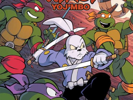 Teenage Mutant Ninja Turtles Usagi Yojimbo Saturday Morning Adventure #1 Cover A Lawrence Cheap