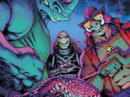 Teenage Mutant Ninja Turtles Sourcebook #4 Cover A Wachter For Cheap