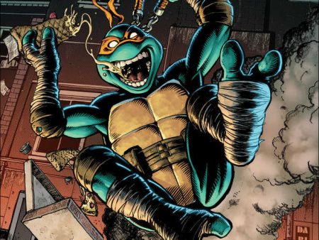 Teenage Mutant Ninja Turtles (2024) #2 50 Copy Robertson Variant Online now