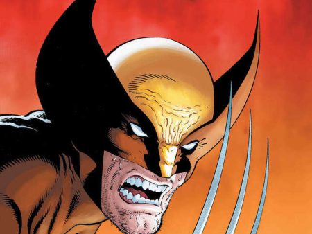 Wolverine #1 50 Copy Mike Zeck Hidden Gem Variant Online now