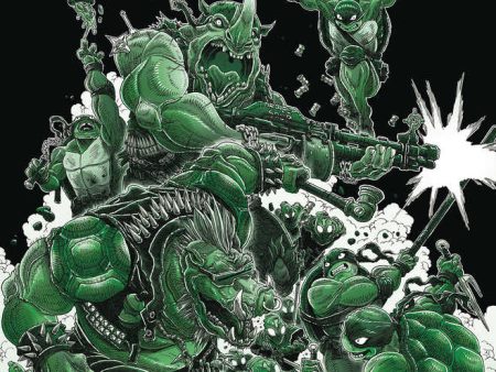 Teenage Mutant Ninja Turtles Black White & Green #1 Cover B Stokoe Discount