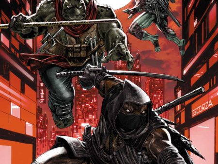 Teenage Mutant Ninja Turtles The Last Ronin II Re Evolution #1 Cover A Escorzas (Mature) on Sale