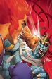 Thundercats #4 Cover O 15 Copy Variant Edition Nakayama Foil Virgin For Cheap