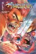 Thundercats #2 Cover W Foc Liefeld Original Supply