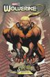 Wolverine #45 Mike McKone Sabretooth Variant Online Sale