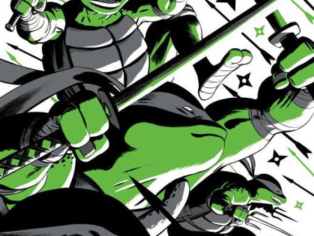 Teenage Mutant Ninja Turtles Black White & Green #2 Cover A Rodriguez For Discount