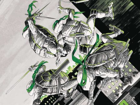 Teenage Mutant Ninja Turtles Black White & Green #1 Cover A Shalvey Online Sale